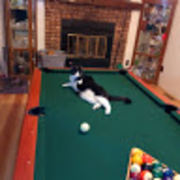 Meet your Posher, Robert - Picture 1 of 1